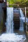 Romania, Transylvania, Fagaras. Ohaba. Oldest grist mill with water wheel. The miller and wife. Art Print